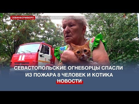 ��������������� ��������� ������ �� ������ 8 ������� � ����