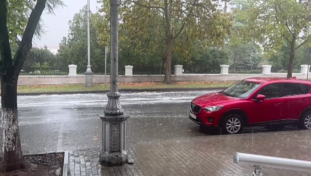 � ����������� �������� ������� ������� ������