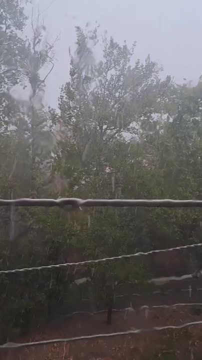 �������� ��������. ������ ����� � ���� ����� ����, ��� ��� ��������� �� ����������� ����� ����