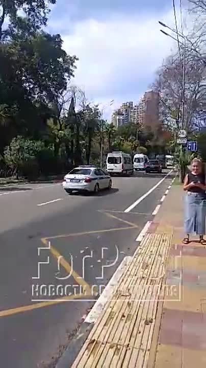 �� ������ � ������ ��������, ������� ���� � ���������� ��������� "����" �� ���������� � ���������� �������