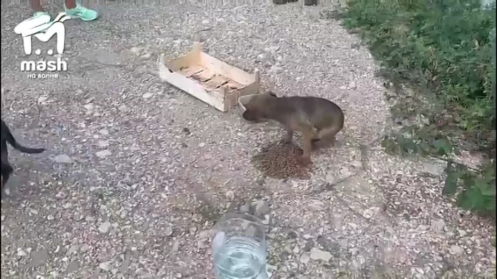 ������������� � ��� ������ ������ � ����������� � ������� ��������� �� ���� � �����