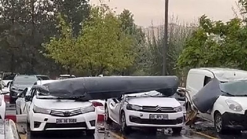 �� �������������� ���������� ����� ����� �����������