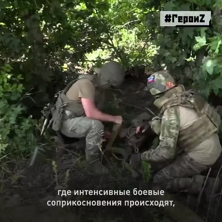 ��������� � ������� ����� ������ �� �������� � ������� �������� ���������������� ��������� � �������� ���������