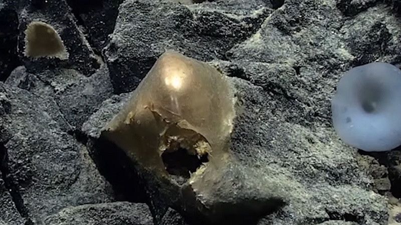 ��������� �� ��� ������ ������� ���� ��������� � ����� ������