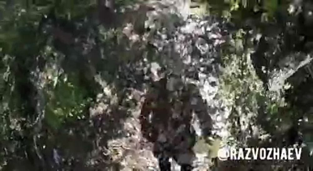 � ����������� ���������� ����� ���� ����� ������ �� ���������� � �������� ������