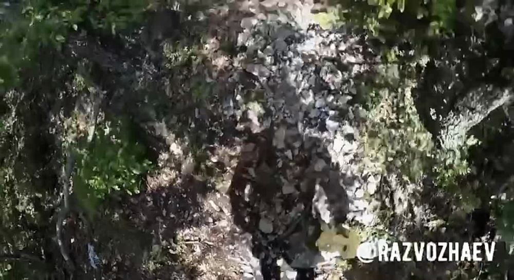 ������ ���������: � ����������� ���������� ����� ���� ����� ������ �� ���������� � �������� ������