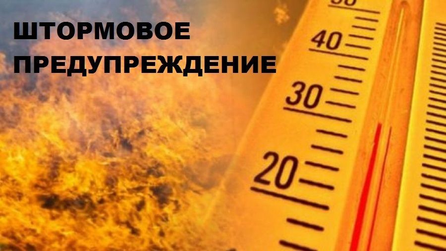 11-14 �������� � ��������, ����� ������� ����� � � �. ����������� ���������� ������������ �������� ���������