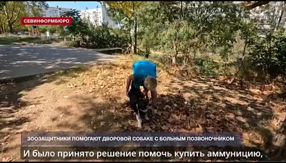 ��������� �������� � ������������ ��� ���������� ��������������� ������������