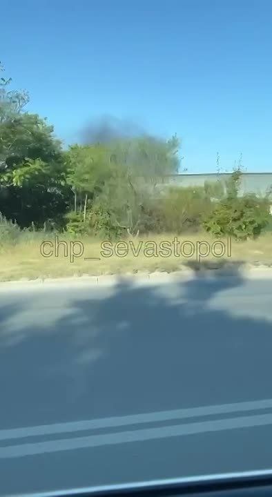 ����: � ����������� �� ����� �� ���� ���-�� ������� ����� � ����� ���. ��������� ��������-������ �������� � ��������