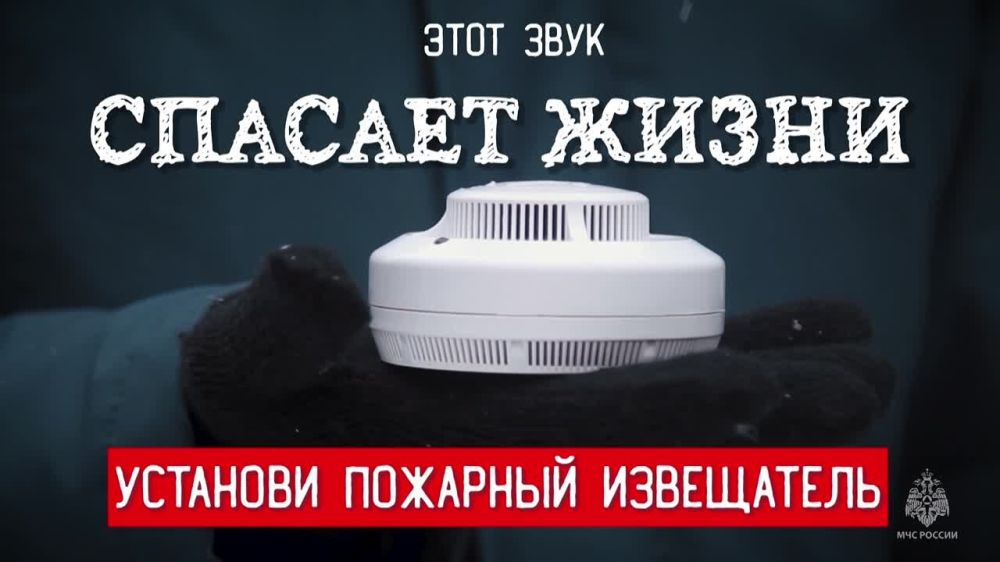 � 2023 ���� � ����������� � ����� ����� ��������� 104 ������