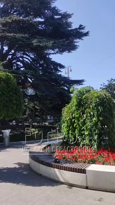 ��������� ������� ���������� ����� �� ������� ��������