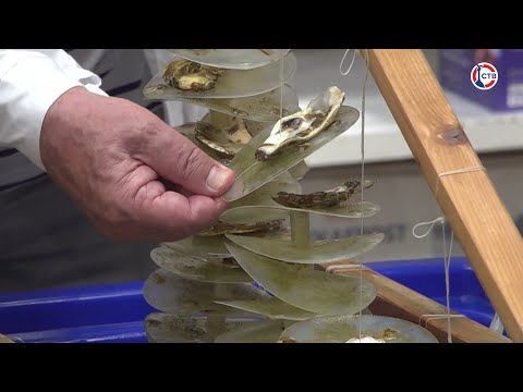 � ����������� ��������� ������ ������������� ��������� ����