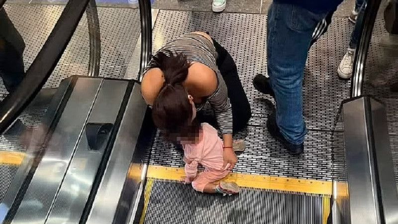 ���� ���������� ������� �������� � ���������