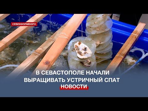 � ����������� �������� ������ � ������ �������� ���������� �����
