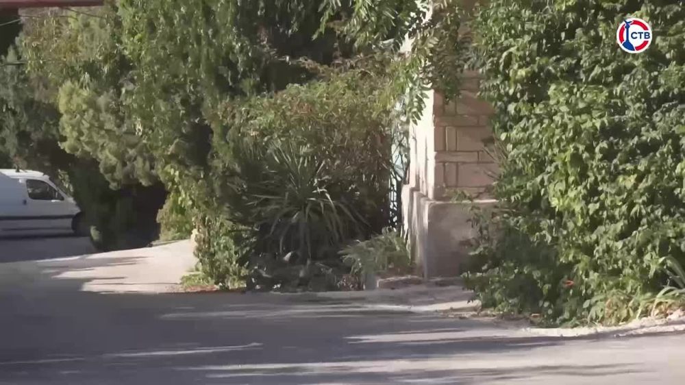 � ������ ����� �������� ��������������� ���� �������� �����