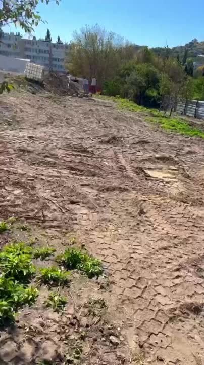 ������� ������: ���� �������� ����� ��������� ������������ �� ����� ��������