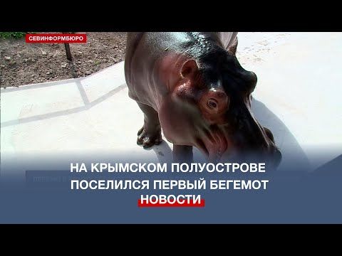 ������ �� �������� ����������� ������� ��������� � �������������� ����� ��������