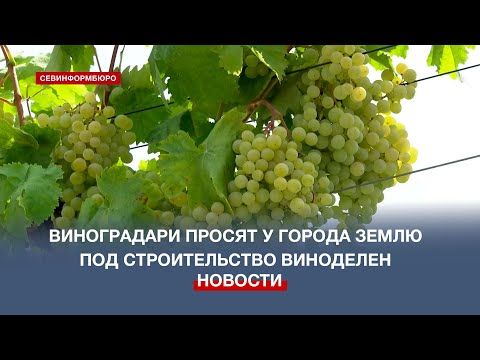 ��������������� ����������� ������ ����� ��� ������������� ��������� � �������������� �����