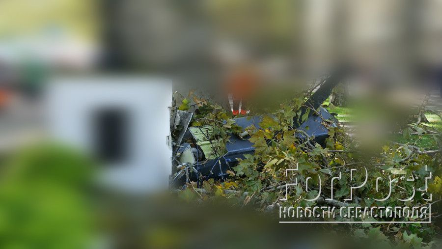 �� ������ ����������� ������� ����� ������ ��� ������