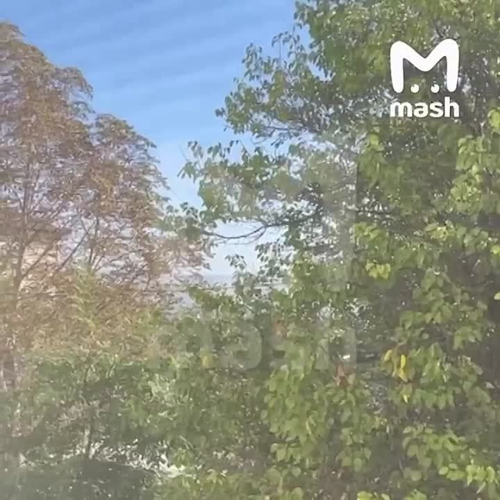 ��������� �������� ��������� � �����������