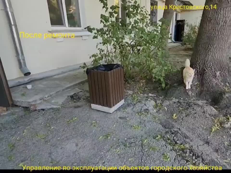 �� ��������� ������ ������� ���� �������� ������ ��������� ����� �� ����� ���� � 14 �� ��. ������������
