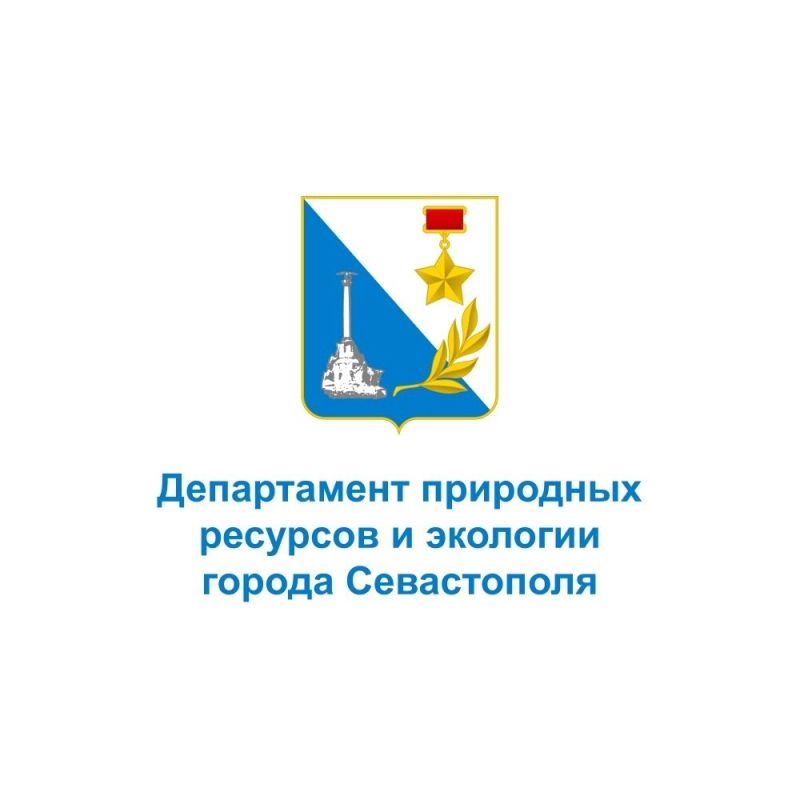 ���� �����������: ����� ��������� ��� ���������������� ������������� ����������� ��������� �������� � �������� ������ �����������?