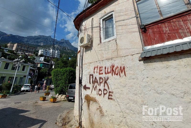 ������ ���� � �������� ���: �������� ������� ����� �������������� ������ � �����