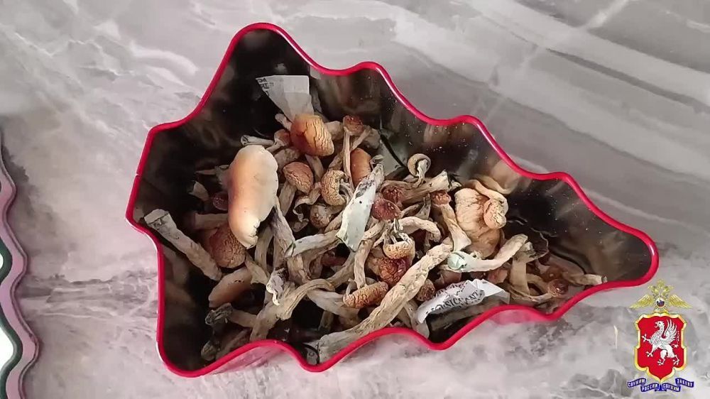 15 ��� ������� ������� ������ �������� �� �����������