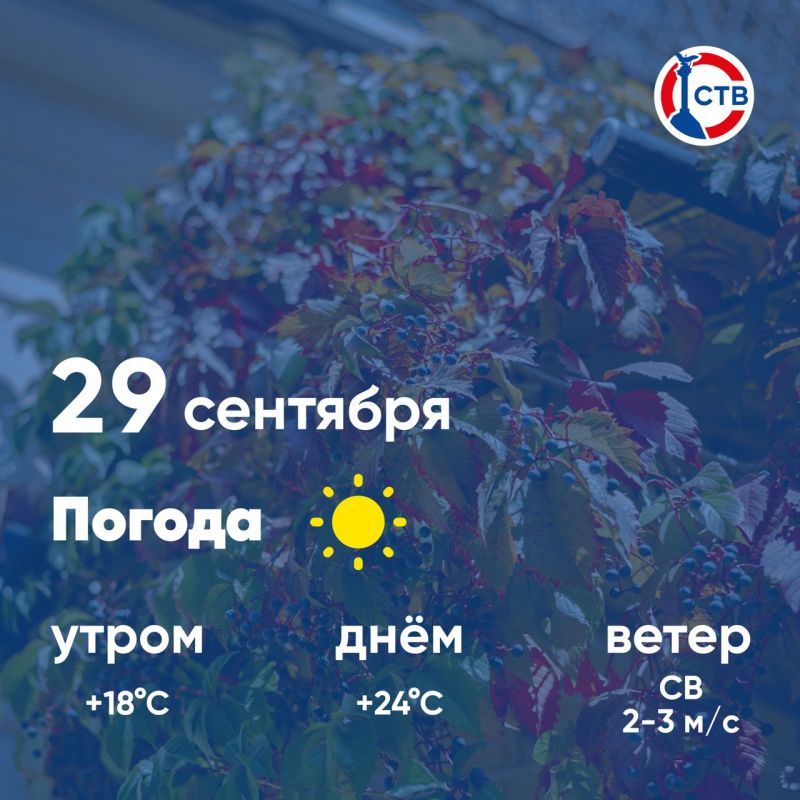 ������ ����, �������������! �������, 29 ��������, � ������ ��������, ��� �������