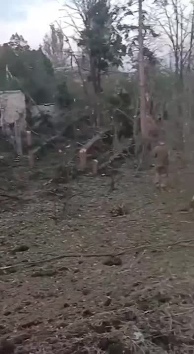 ���� ����: �� ������ ������ �� �� ���������� ���, ��������� ������� ����� ������� � ����������� � ���������� ��������