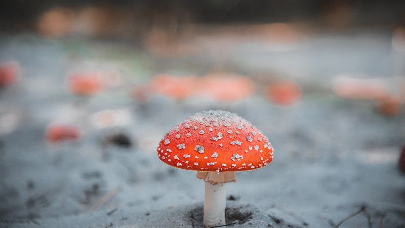 � ������� ����� ���������� �� ������� ���� ������������ � ���� ��������