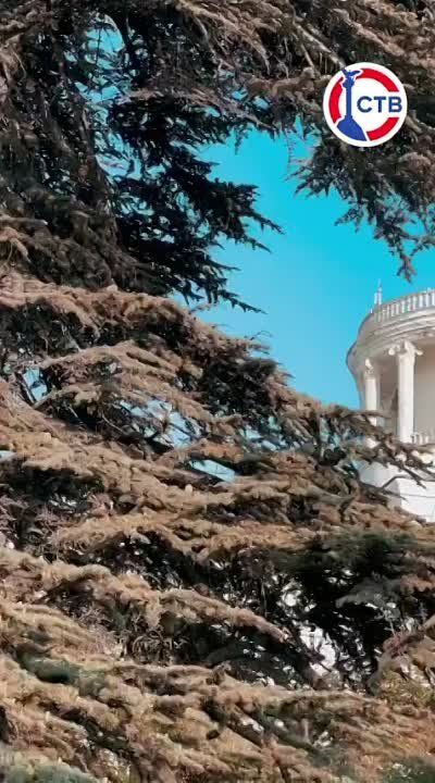 ��� ��������� ������ �����������