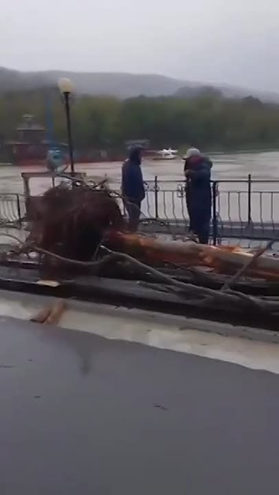 ������� � ����� ����:. ������� �������, ��� �� ��������� ��������� ����� ������� ���������� ����� ����������� �������� � ���������� ������� ���������