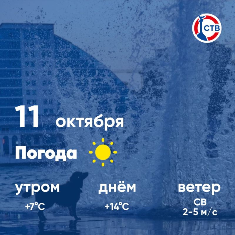 ������ ����, �������������! �������, 11 �������, � ������ ��������, ��� �������