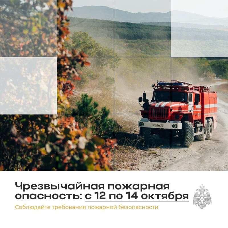 ������������ �������� ��������� �� ���������! ��� ���������� � ����������� � ������ � 12 �� 14 �������