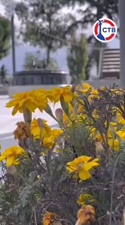 ������� ����� �����, ������� � �����!