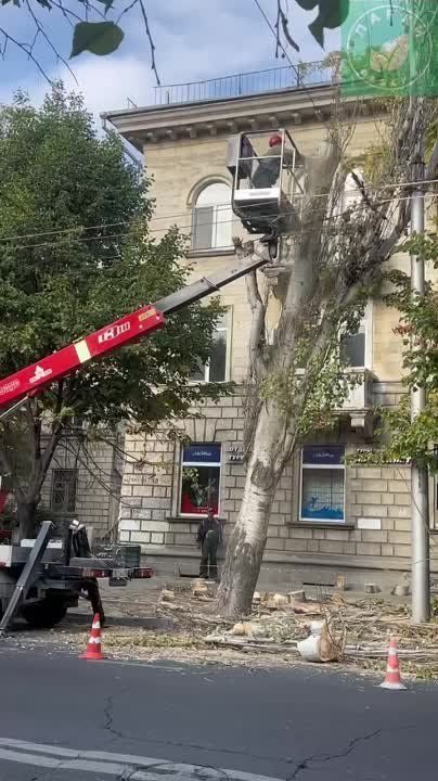 ������� ������: ���� ��� ��������� ��������