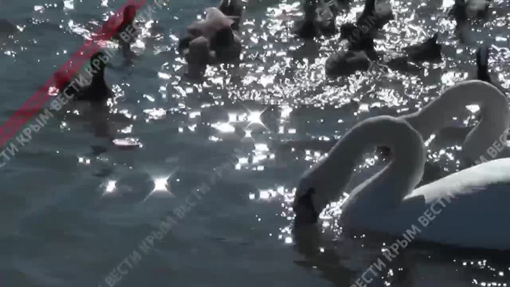 ������ ������ ��������� �������� � �����������