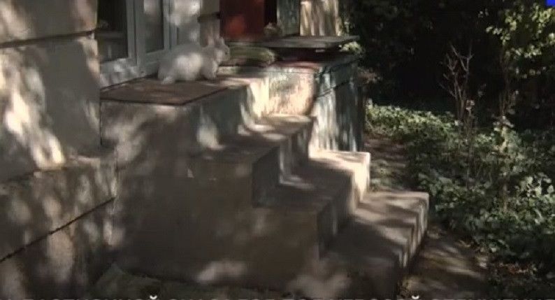 ����������� ���� � ����������� �������������� ��������� ��������