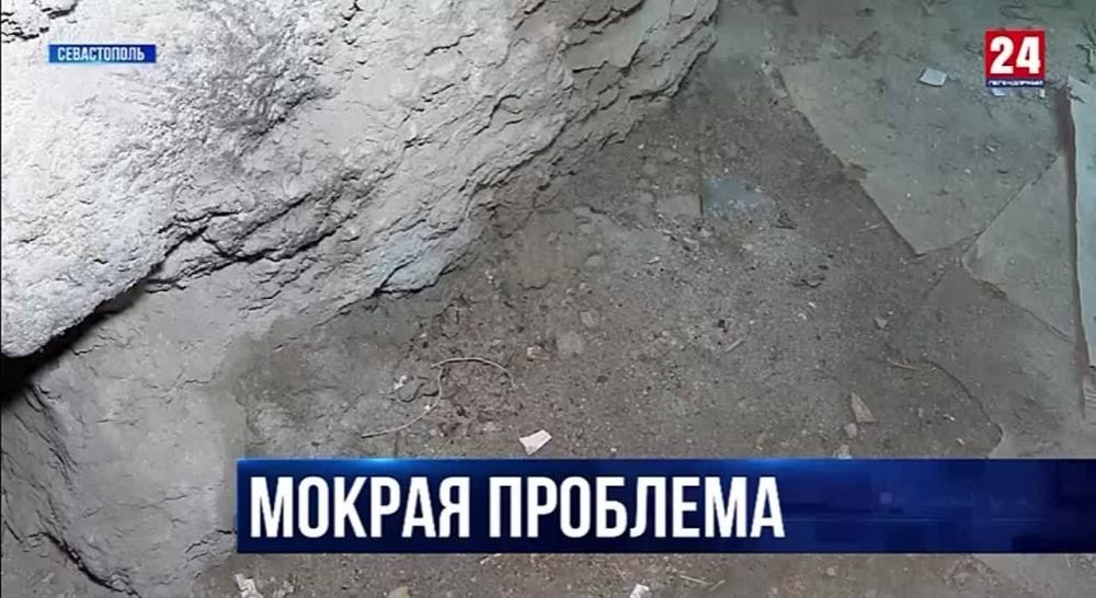 ���� ���� � �������, ������ �����, ����� �������