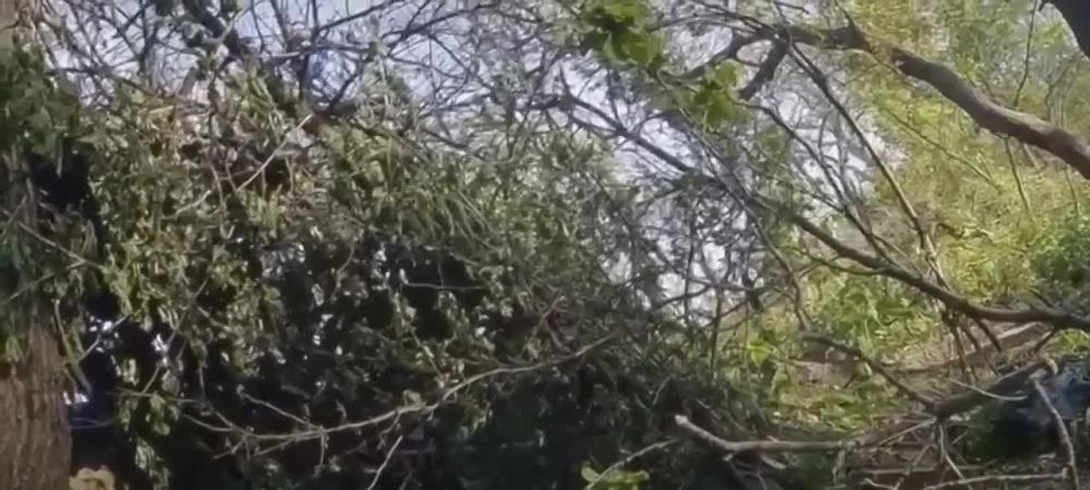 ��������� ���: : ����� ������� ������� ��������� ���. ������ ���� ���