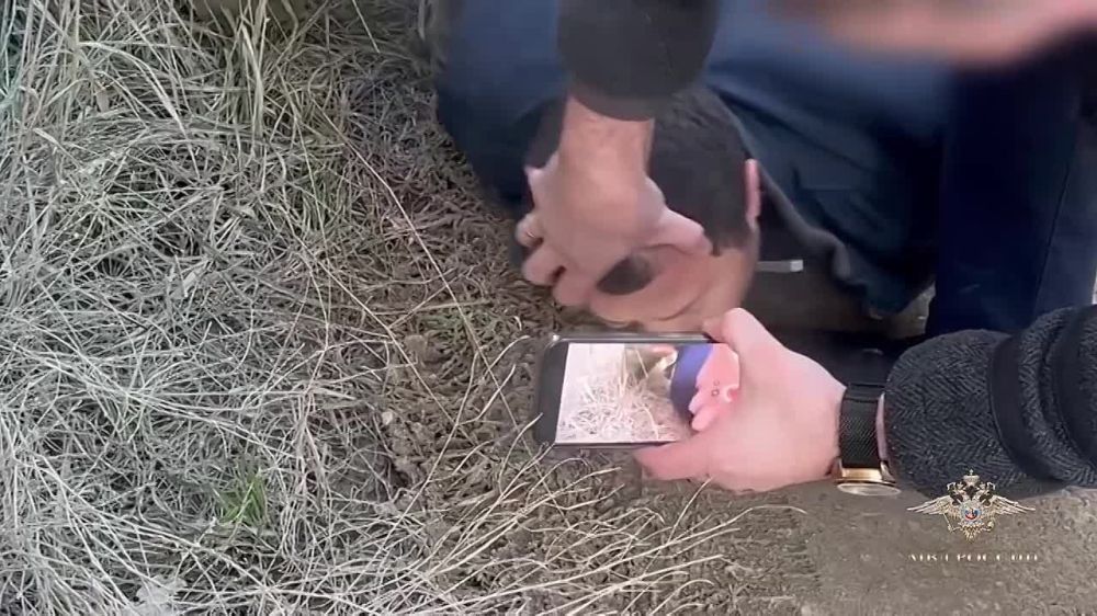 ����� ����: � ����������� ����� ����� ���������� ���������� � ������������� � ����� ������������