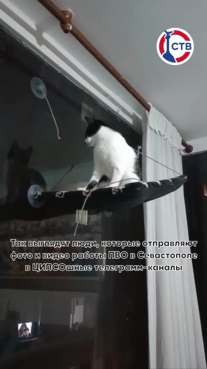 ������ �����, �����, ������� ���������� ���� � ����� ������ ����� ������� � ��������� ���������-������� ������