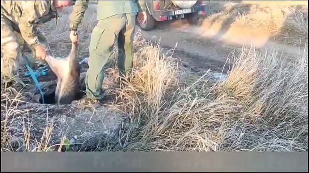 � ������������� ������� ������ ���������� �������� � ��� ������