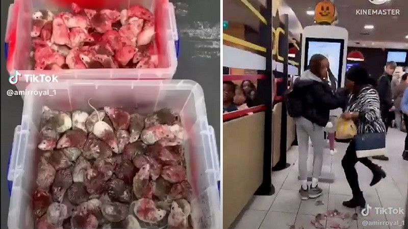�������� �������� �������� � ������� �����, ���������� � ����� ����� ���������