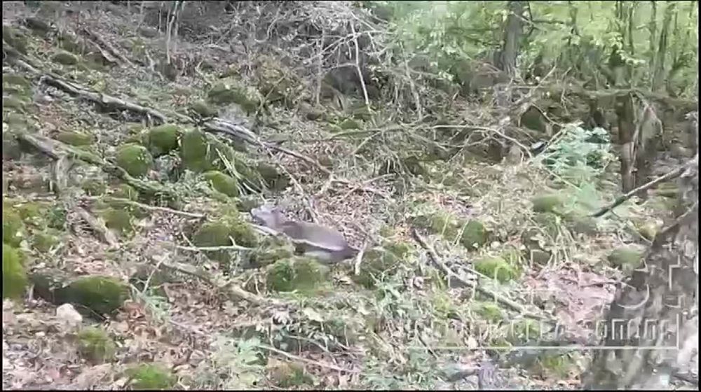 ���� �������: ���������� ���������������� ������ � ��������� ������ ������