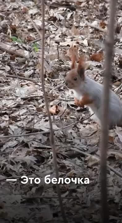 �������� ������� ������!