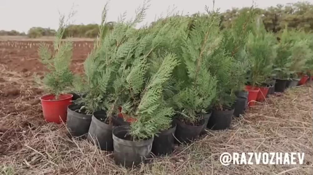 � ����������� � ����� ��� ��������� �������� ��������� ����� ����������� � ����������� ��������������������� - �������� ������� "������", ��������� �� 1200 �������� � ������ ������������ �����������