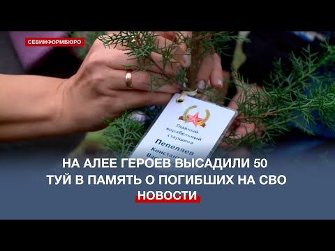 �� ���� ������ �������� 50 ���: ������ ������ � ������ �� ������� �����