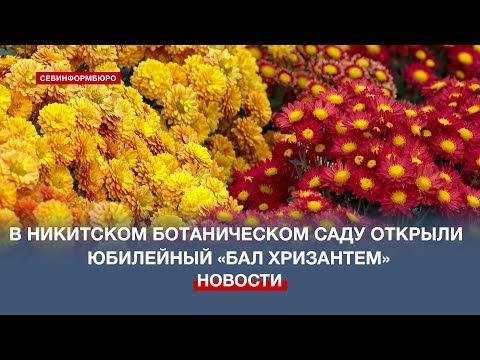 � ��������� ������������ ���� �������� ��������� ���� ���������